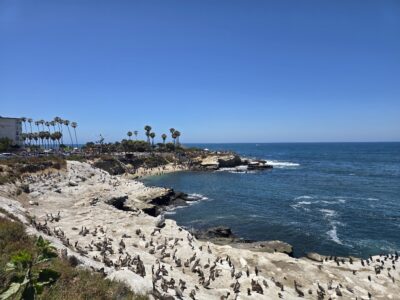 The Original San Diego Marathon — 18 Years Later I Came Back For Round Three