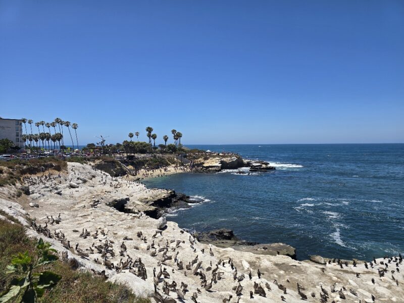 The Original San Diego Marathon — 18 Years Later I Came Back For Round Three